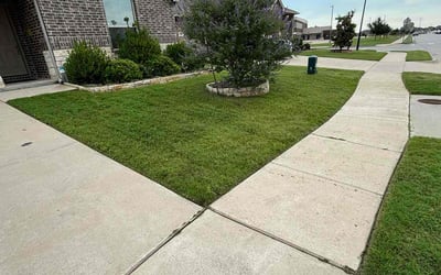 Photo of Angelina F.'s yard after getting lawn care in Princeton, TX