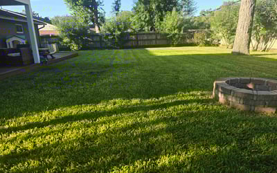 Photo of Dianne B.'s yard after getting lawn care in Niles, IL