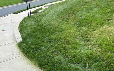 Photo of Stephanie S.'s yard after getting lawn care in Glen Burnie, MD