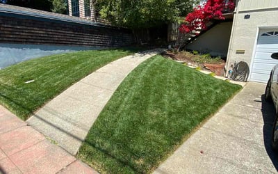 Photo of Addrienne W.'s yard after getting lawn care in Oakland, CA