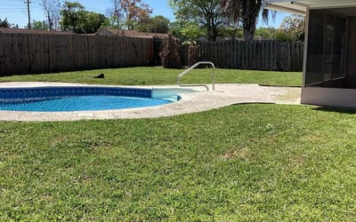 Photo of Edna P.'s yard after getting lawn care in Orange Park, FL