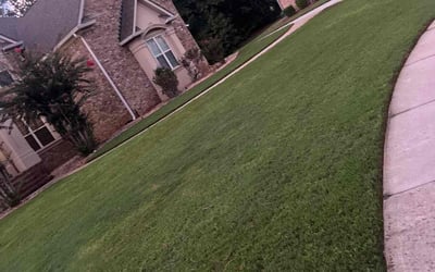 Photo of Carita B.'s yard after getting lawn care in Hampton, GA