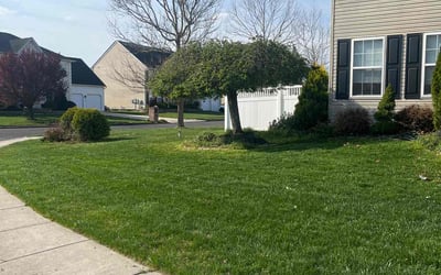 Photo of Stephanie C.'s yard after getting lawn care in Marlton, NJ