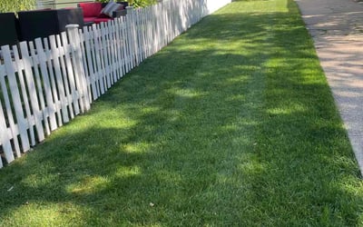 Photo of Eric C.'s yard after getting lawn care in Greenville, MI