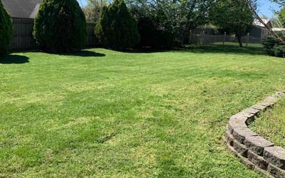 Photo of Rita H.'s yard after getting lawn care in Maryville, TN