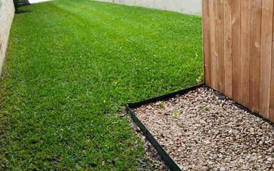 Photo of Zachary W.'s yard after getting lawn care in St. Louis, MO