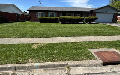 Photo of Jim D.'s yard after getting lawn care in Dayton, OH
