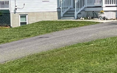 Photo of Mario L.'s yard after getting lawn care in New Bedford, MA