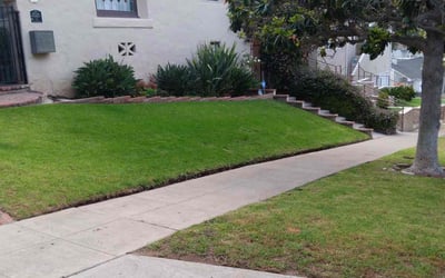 Photo of Diane G.'s yard after getting lawn care in Los Angeles, CA