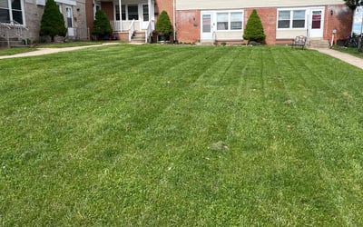 Photo of Gloriel F.'s yard after getting lawn care in Camp Hill, PA
