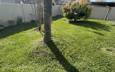Photo of Vedina D.'s yard after getting lawn care in Dover, FL
