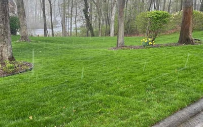 Photo of Michael H.'s yard after getting lawn care in Brighton, MI