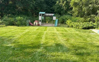 Photo of Pete M.'s yard after getting lawn care in Needham, MA