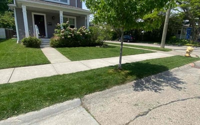Photo of Elisa S.'s yard after getting lawn care in Berkley, MI