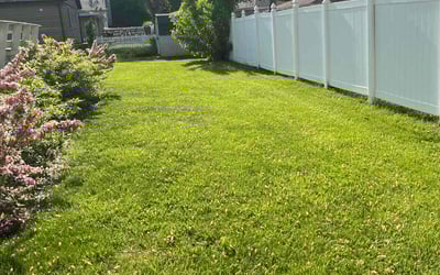 Photo of Sherry D.'s yard after getting lawn care in East Hampton, CT