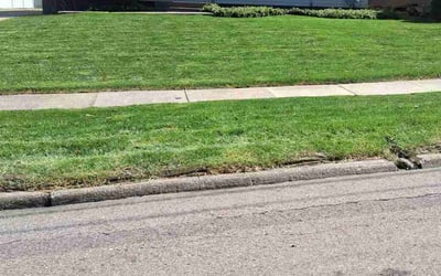 Photo of Jewell J.'s yard after getting lawn care in Akron, OH