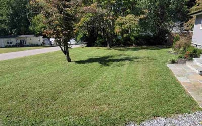 Photo of Travis D.'s yard after getting lawn care in Spotsylvania, VA
