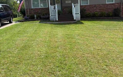 Photo of John F.'s yard after getting lawn care in Norwalk, CT