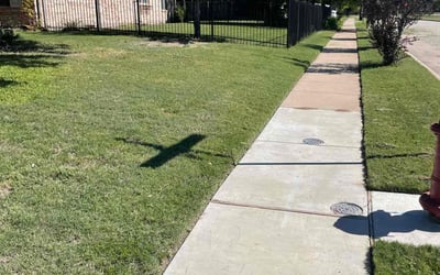 Photo of Juliana W.'s yard after getting lawn care in Grand Prairie, TX