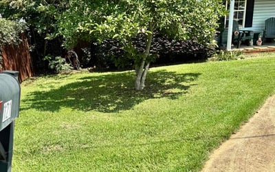 Photo of Melanie M.'s yard after getting lawn care in Greer, SC