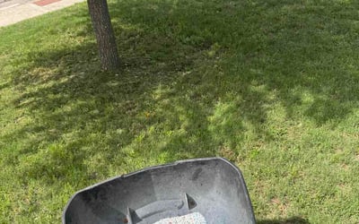 Photo of Nora N.'s yard after getting lawn care in Lancaster, OH