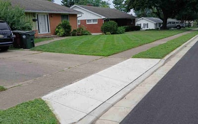 Photo of Lamelia L.'s yard after getting lawn care in Crystal Lake, IL