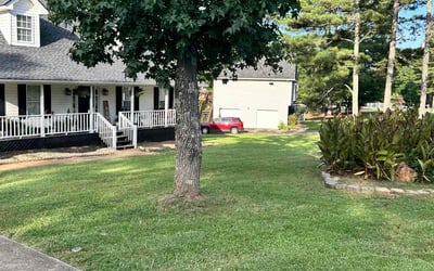 Photo of Joyce J.'s yard after getting lawn care in Carrollton, GA