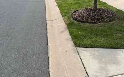 Photo of Wilhelemia F.'s yard after getting lawn care in Bessemer City, NC