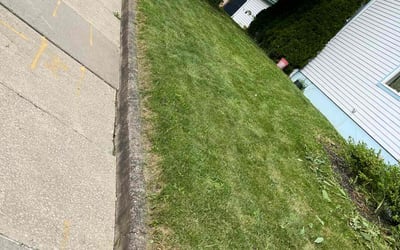 Photo of Sean O.'s yard after getting lawn care in Mc Kees Rocks, PA