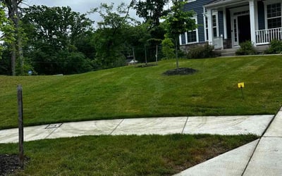 Photo of Kevin L.'s yard after getting lawn care in Fort Washington, MD