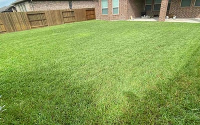 Photo of Kelli B.'s yard after getting lawn care in Paso Robles, CA