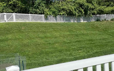 Photo of Shari M.'s yard after getting lawn care in Arnold, MO