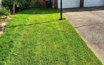Photo of Edward C.'s yard after getting lawn care in Lexington, KY