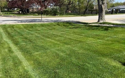 Photo of James G.'s yard after getting lawn care in Downers Grove, IL