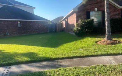 Photo of Bill B.'s yard after getting lawn care in League City, TX