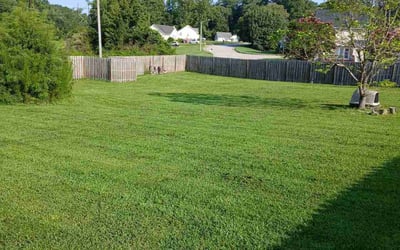 Photo of Gaurav K.'s yard after getting lawn care in Wendell, NC