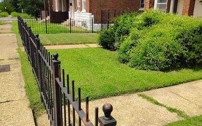 Photo of Rebekah G.'s yard after getting lawn care in Hillsboro, MO