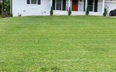 Photo of Brett L.'s yard after getting lawn care in China Grove, NC