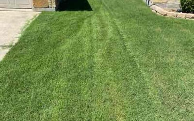 Photo of Doug A.'s yard after getting lawn care in Canonsburg, PA