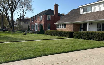 Photo of Dionne I.'s yard after getting lawn care in Brownstown, MI