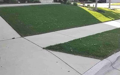 Photo of Robert G.'s yard after getting lawn care in La Canada Flintridge, CA