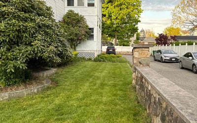 Photo of Jared B.'s yard after getting lawn care in Killeen, TX