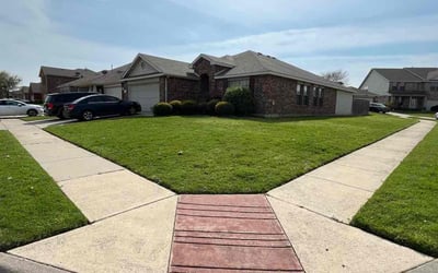 Photo of LaChae S.'s yard after getting lawn care in Flushing, NY