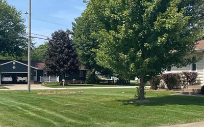Photo of Trevor G.'s yard after getting lawn care in Rock Island, IL