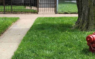 Photo of Desiree S.'s yard after getting lawn care in Bloomington, IL