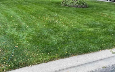 Photo of Deborah G.'s yard after getting lawn care in Shakopee, MN
