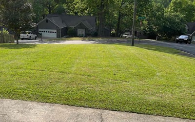 Photo of Dan N.'s yard after getting lawn care in Marietta, GA