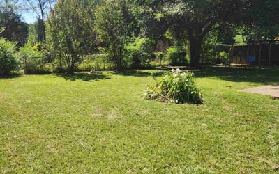 Photo of Sherri H.'s yard after getting lawn care in Bryant, AR