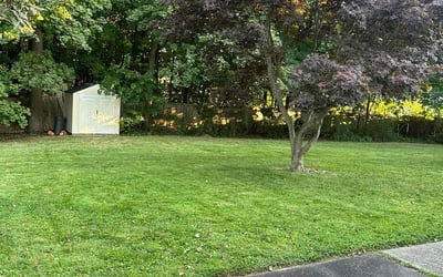 Photo of Nathaniel J.'s yard after getting lawn care in Bridgeport, CT