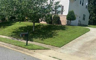 Photo of Nate H.'s yard after getting lawn care in Richmond Hill, NY